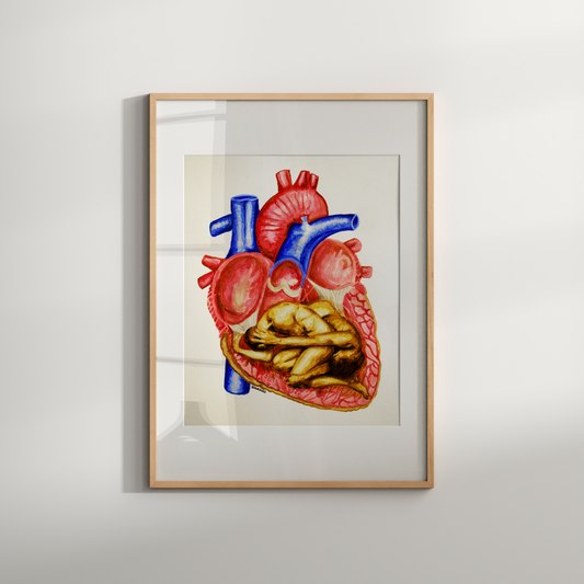 Framed artwork of a detailed anatomical heart on a white wall