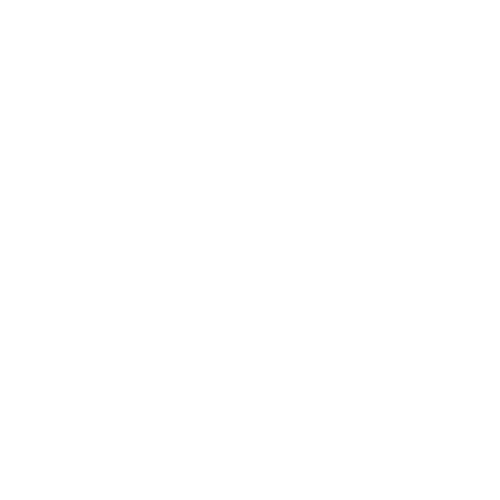 ZAK POP ART logo