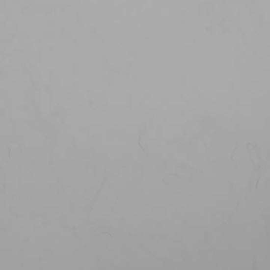Gay Couple Kissing Black & White Art video
