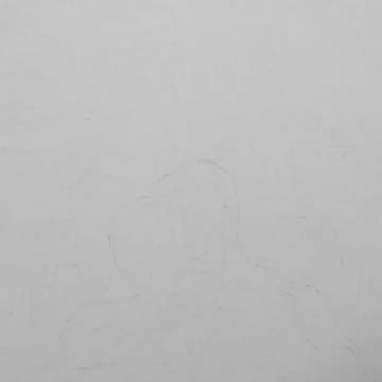 A video artwork featuring a nude male couple with spring flowers, in black and white colors.
