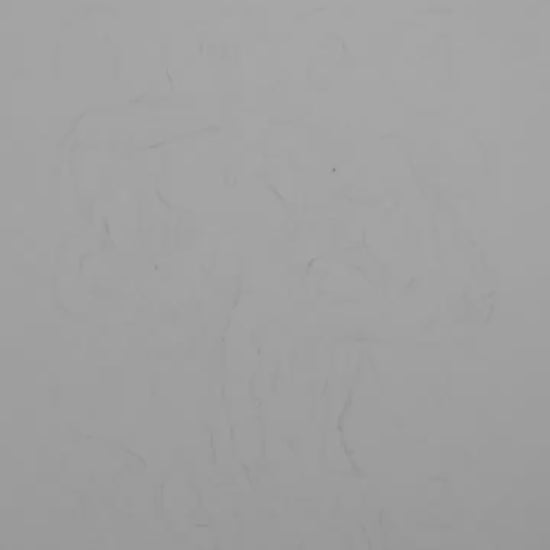 Gay Nude Male in NYC Subway Black & White Art video