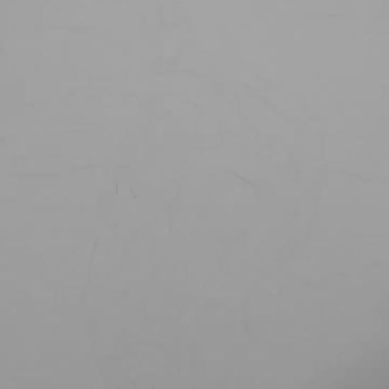 Gay Erotic Nude Male in Black & White video