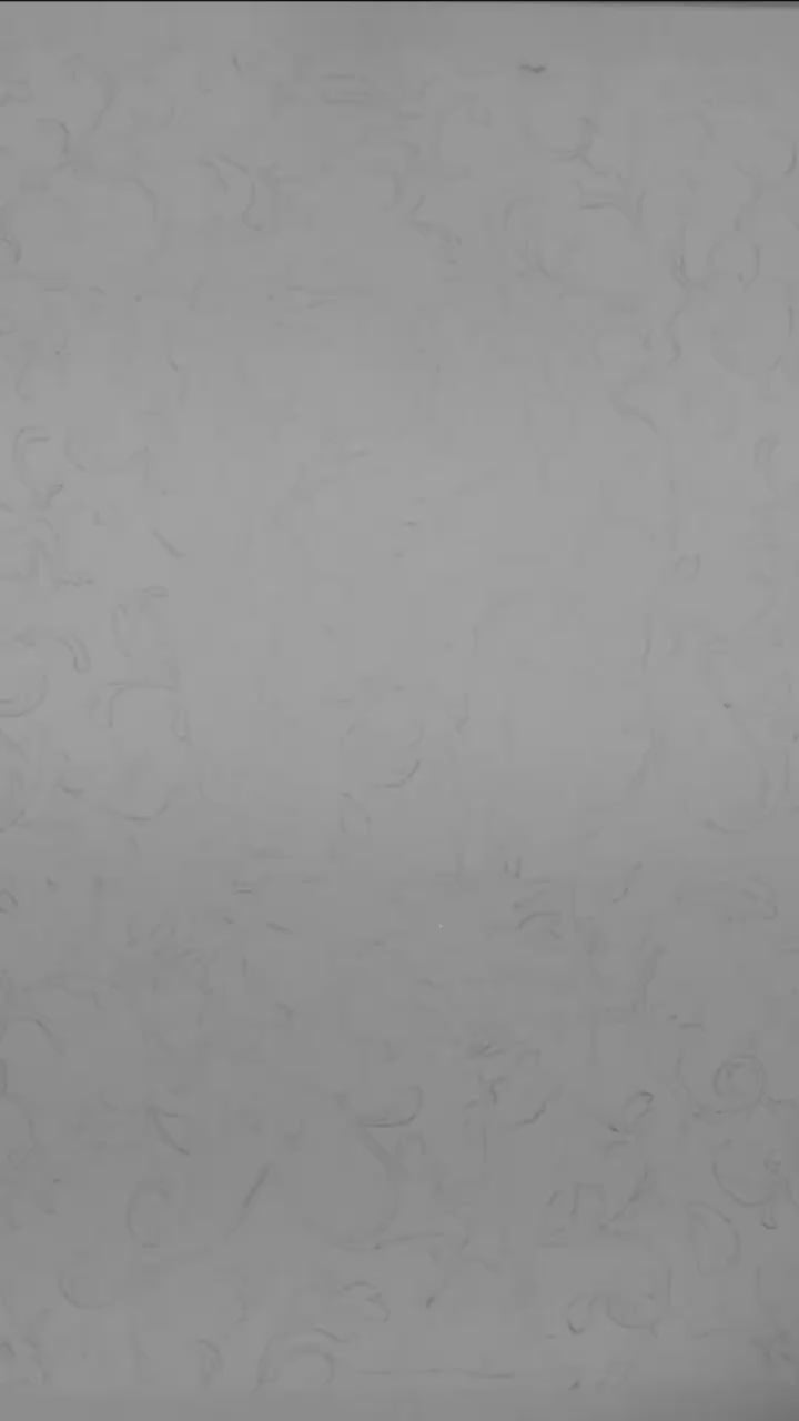 This video features an elegant and artistic watercolor print of a nude male figure, presented in a striking black and white color scheme. The figure, depicted from behind, is portrayed in a contorted pose, adding a dynamic and erotic element to the piece.
