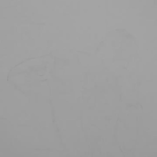 Nude Gay Male at Lily Pond Black & White Art video